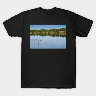 Ducks on a Lake T-Shirt